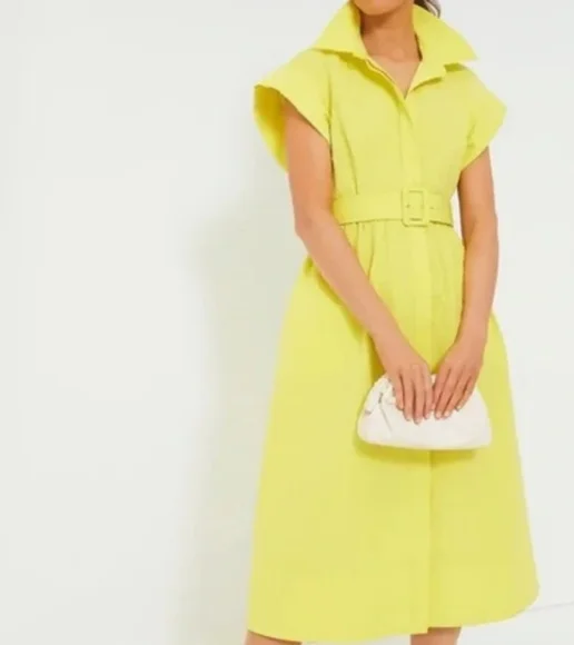 Tuckernuck Chloe Citron Midi Dress with Belt - Picture 1 of 8